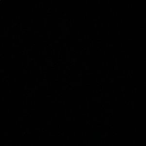 Meet your Posher, Deon